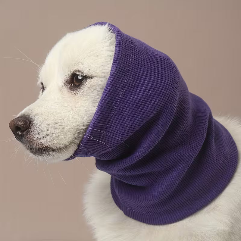 The Hush Hood