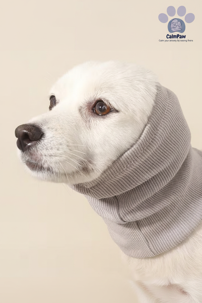 CalmPaw Logo Transparent on Dog Photo